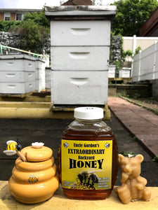 1 lb. Raw Wildflower Honey